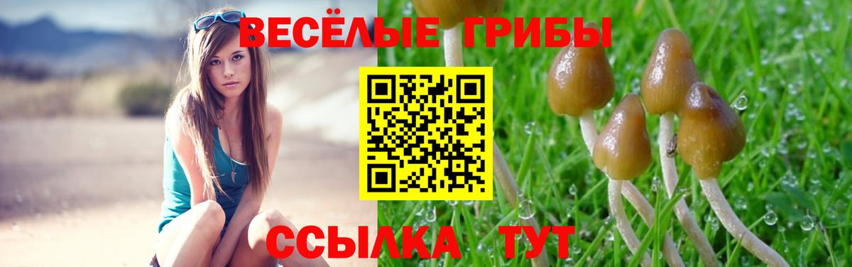 Галлюциногенные грибы GOLDEN TEACHER  купить закладку  Сатка  Вход с VPN 